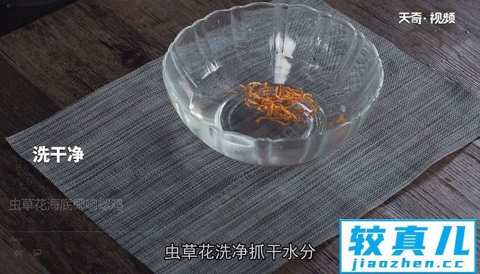 虫草花海底椰响螺鸡怎么做 虫草花海底椰响螺鸡的做法