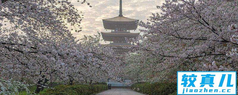 漳州市春季赏花去哪里 推荐漳州市春季赏花景点