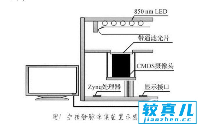 静脉识别技术是什么