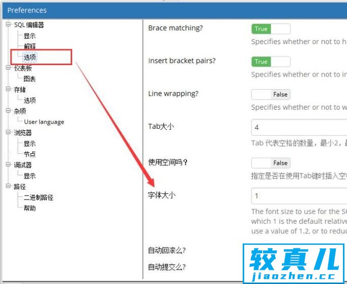 PGAdmin中如何设置语言以及字体大小