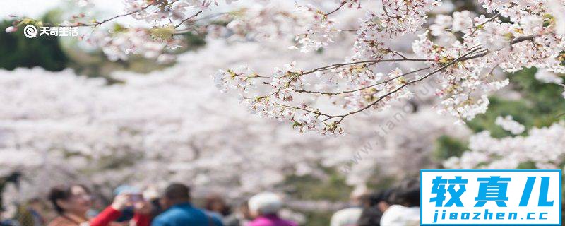 广安市春季赏花去哪里 推荐广安市春季赏花好去处