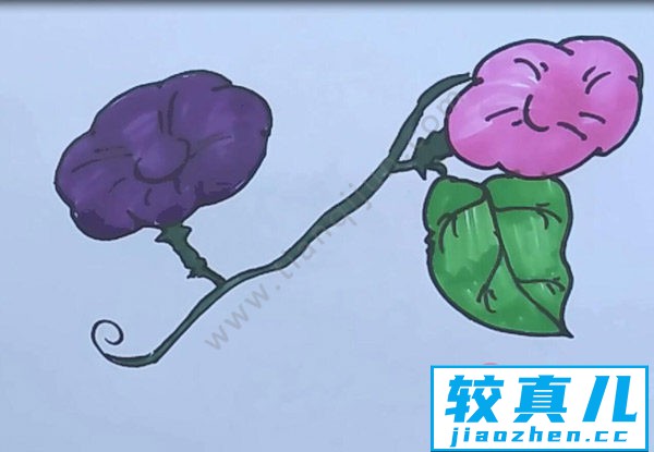 喇叭花简笔画