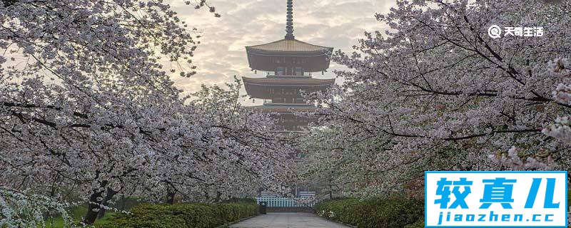 大理市春季赏花去哪里 推荐大理市春季赏花景点