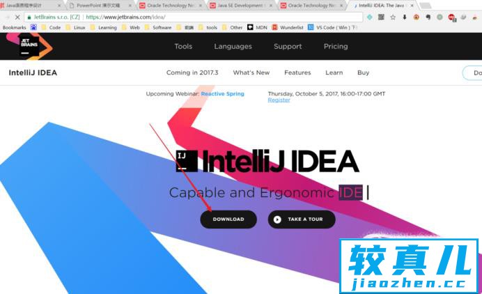 IntelliJ IDEA下载及安装教程