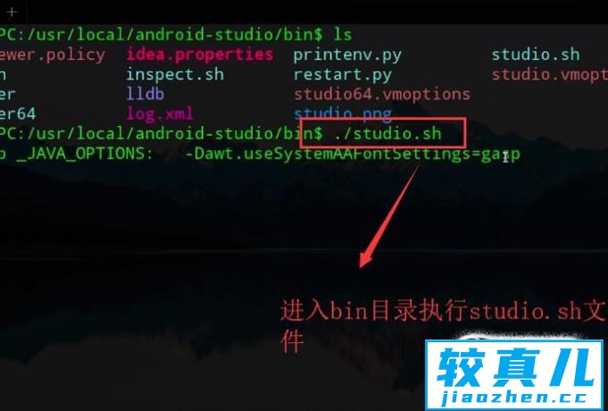 如何在Linux系统下安装Android Studio