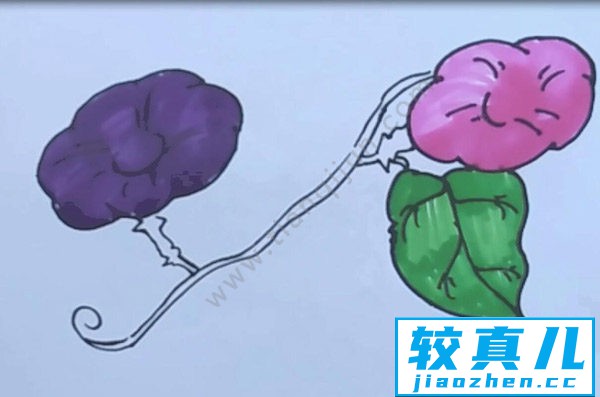 喇叭花简笔画