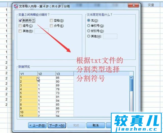 如何在SPSS中导入txt文本数据