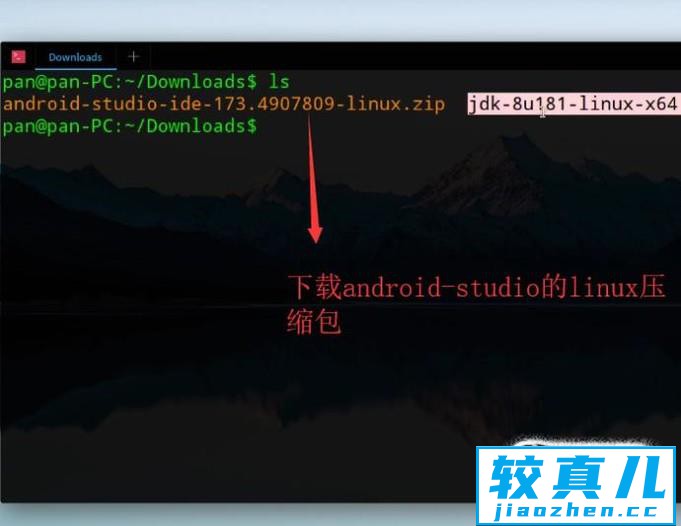 如何在Linux系统下安装Android Studio