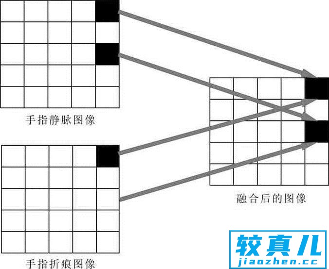 静脉识别技术是什么