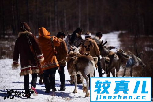 《沉默的雪》1月8日上映揭秘鄂温克的神秘故事