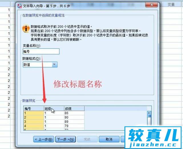 如何在SPSS中导入txt文本数据