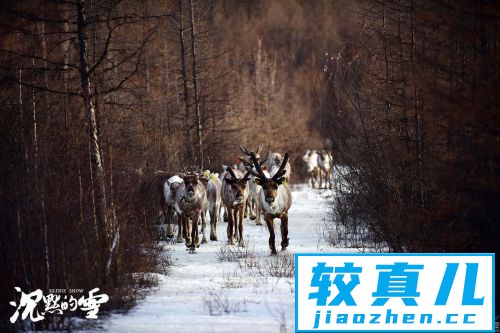 《沉默的雪》终极版预告海报双发夺人眼目