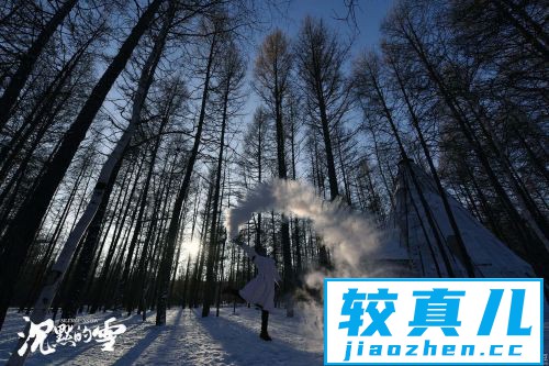 《沉默的雪》终极版预告海报双发夺人眼目