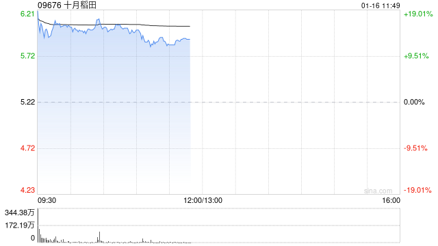 十月稻田高开逾15% 预计全年经调整净利润同比增超1.1倍