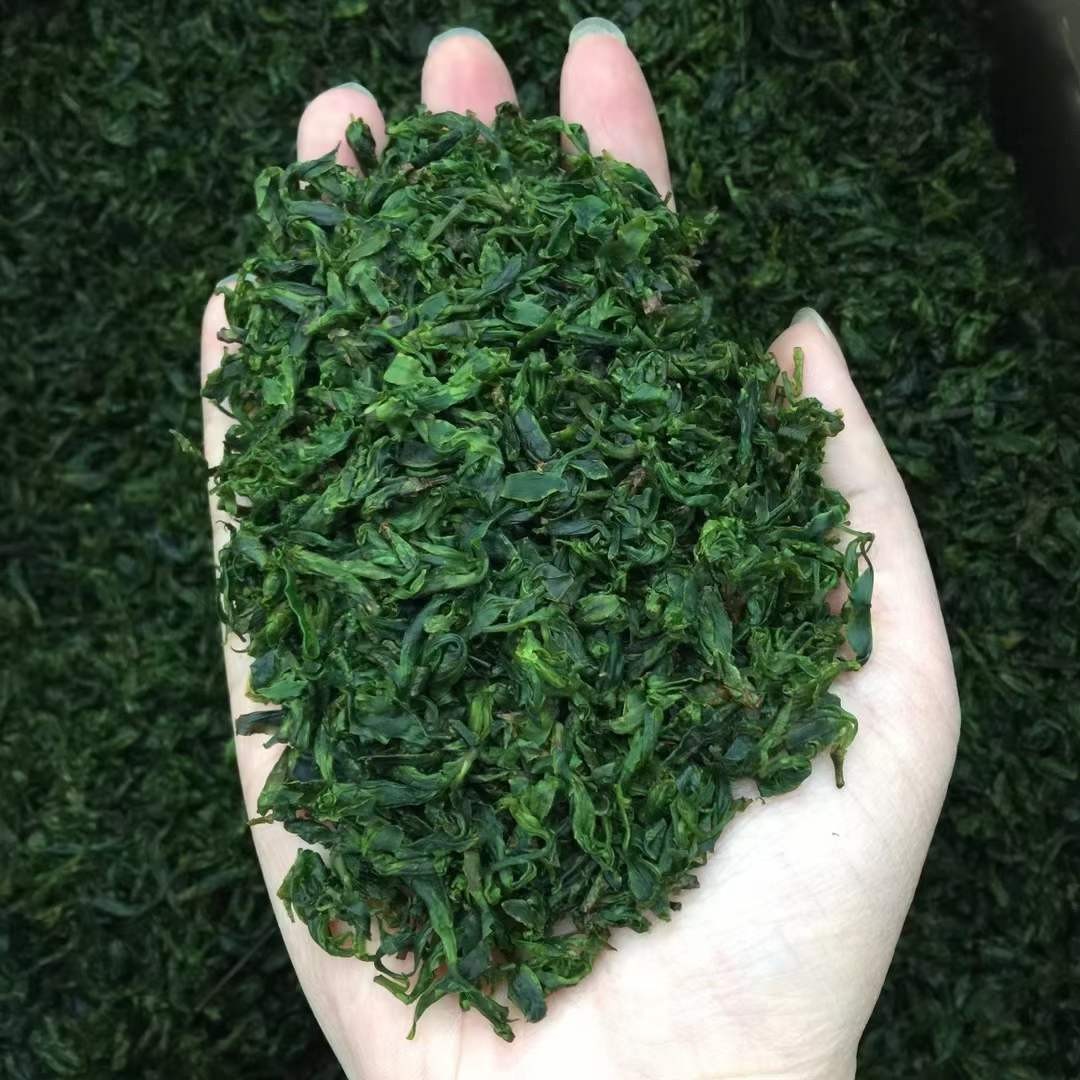 小叶苦丁茶的功效与禁忌 小叶苦丁茶的功效?