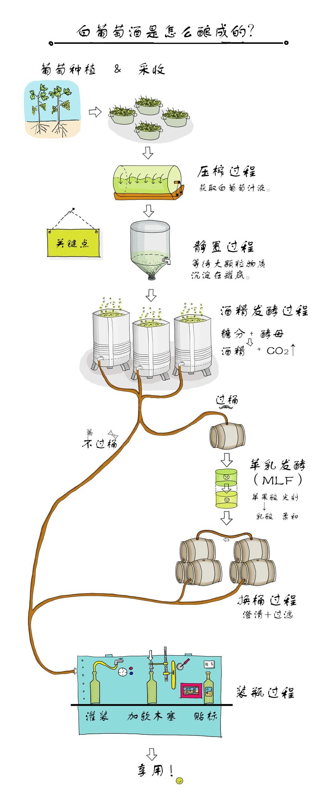 葡萄酒酿造工艺流程图 葡萄酒酿造工艺流程图纸