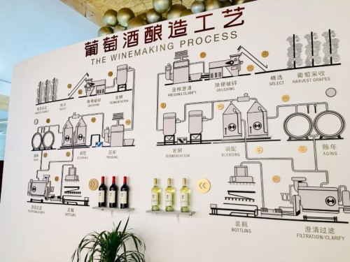 葡萄酒酿造工艺流程图 葡萄酒酿造工艺流程图纸