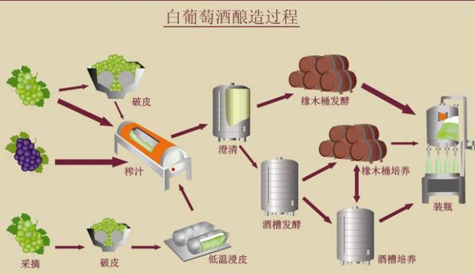 葡萄酒的制作工艺 葡萄酒的制作工艺流程视频