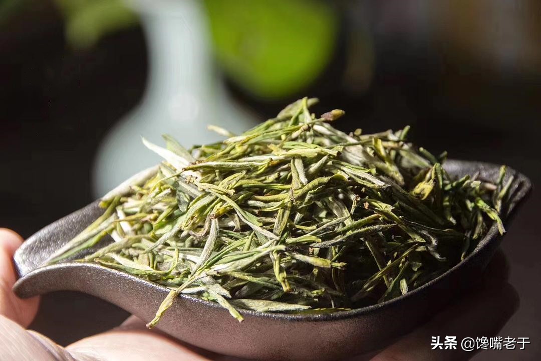 绿茶哪个品种好 绿茶哪个品种好喝排名知乎