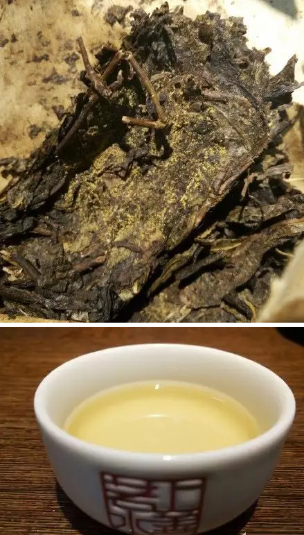 安化黑茶是传销的通知 安化黑茶是不是传销吗?央视告诉你黑茶传销真相