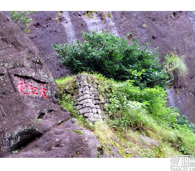 母树大红袍拍卖 母树大红袍拍卖价格