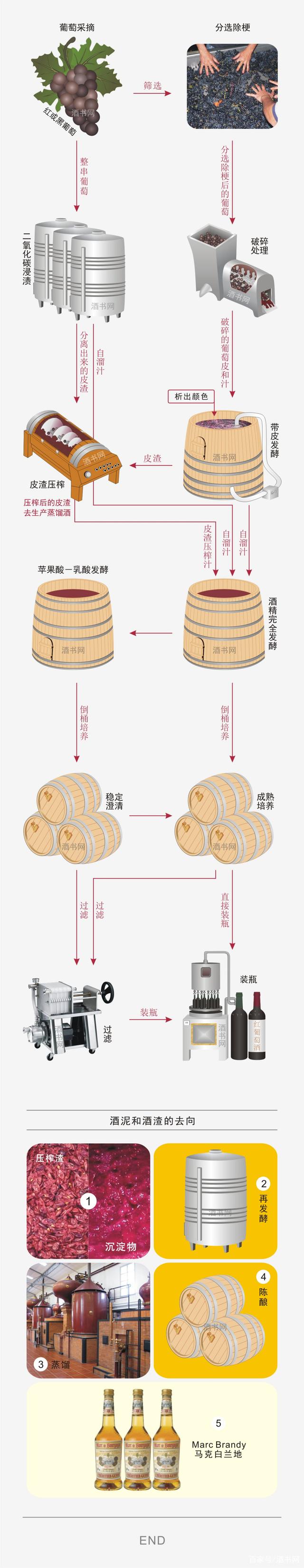 自制白葡萄酒的酿制方法 白葡萄酒自酿制作方法