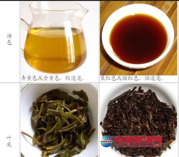 普洱茶喝生茶好还是熟茶好 陈皮普洱茶可以减肥吗