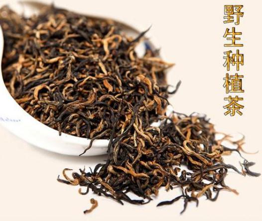 绿茶与红茶的功效与作用 绿茶与红茶的功效与作用区别