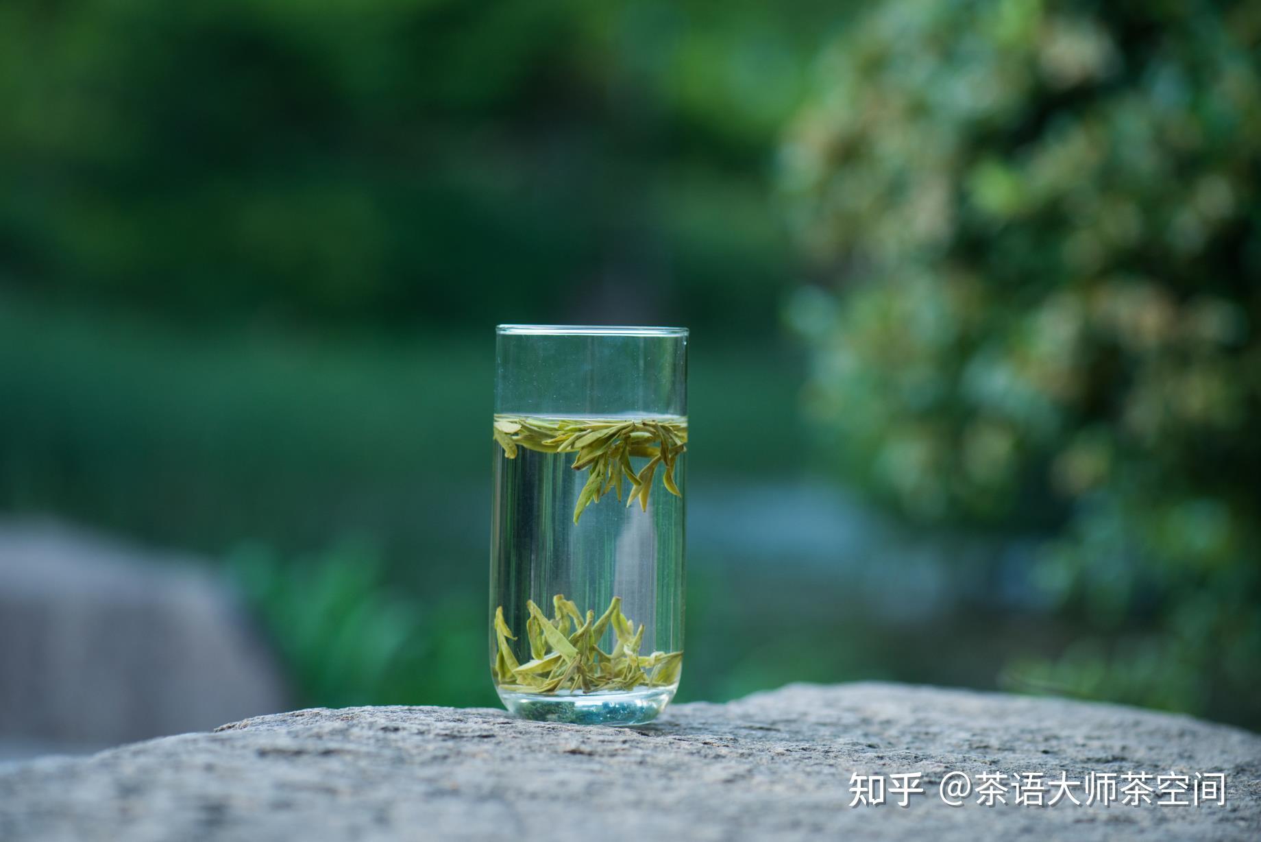 有诗意的茶名字 有诗意的茶名字2个字