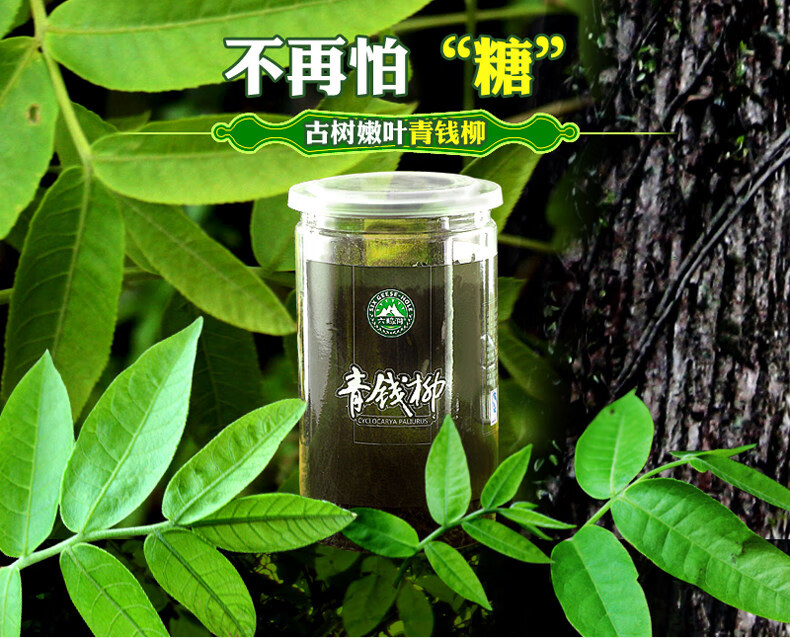 青钱柳茶的功效与作用 青钱柳茶的功效与作用及食用方法