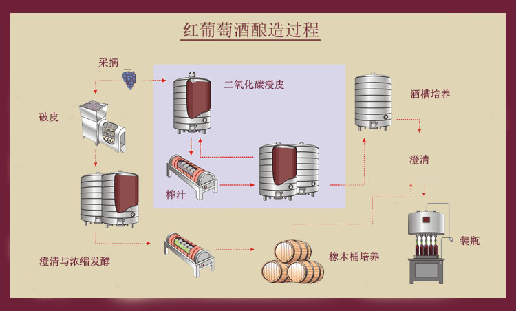 葡萄酒的制作方法图片 葡萄酒的制作方法图片简笔画