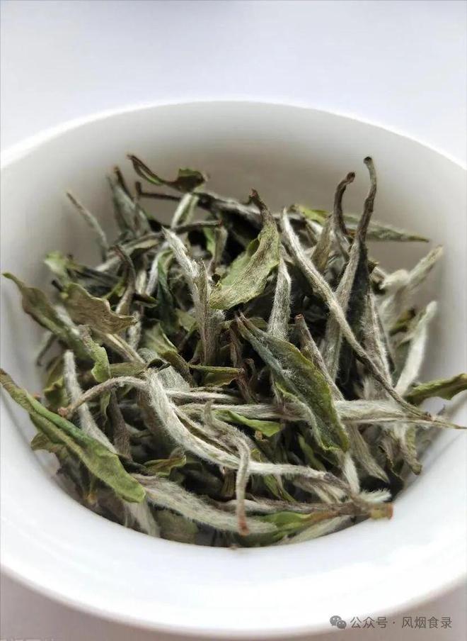 白茶属于绿茶还是什么茶 白茶是白茶还是绿茶