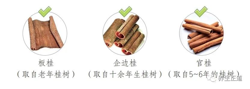 肉桂和桂皮的区别 肉桂和桂皮的区别功效与作用