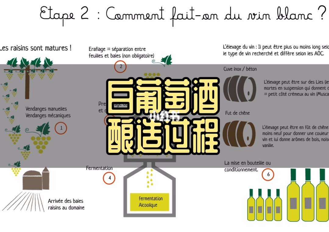 家庭如何酿造葡萄酒 如何在家酿造葡萄酒