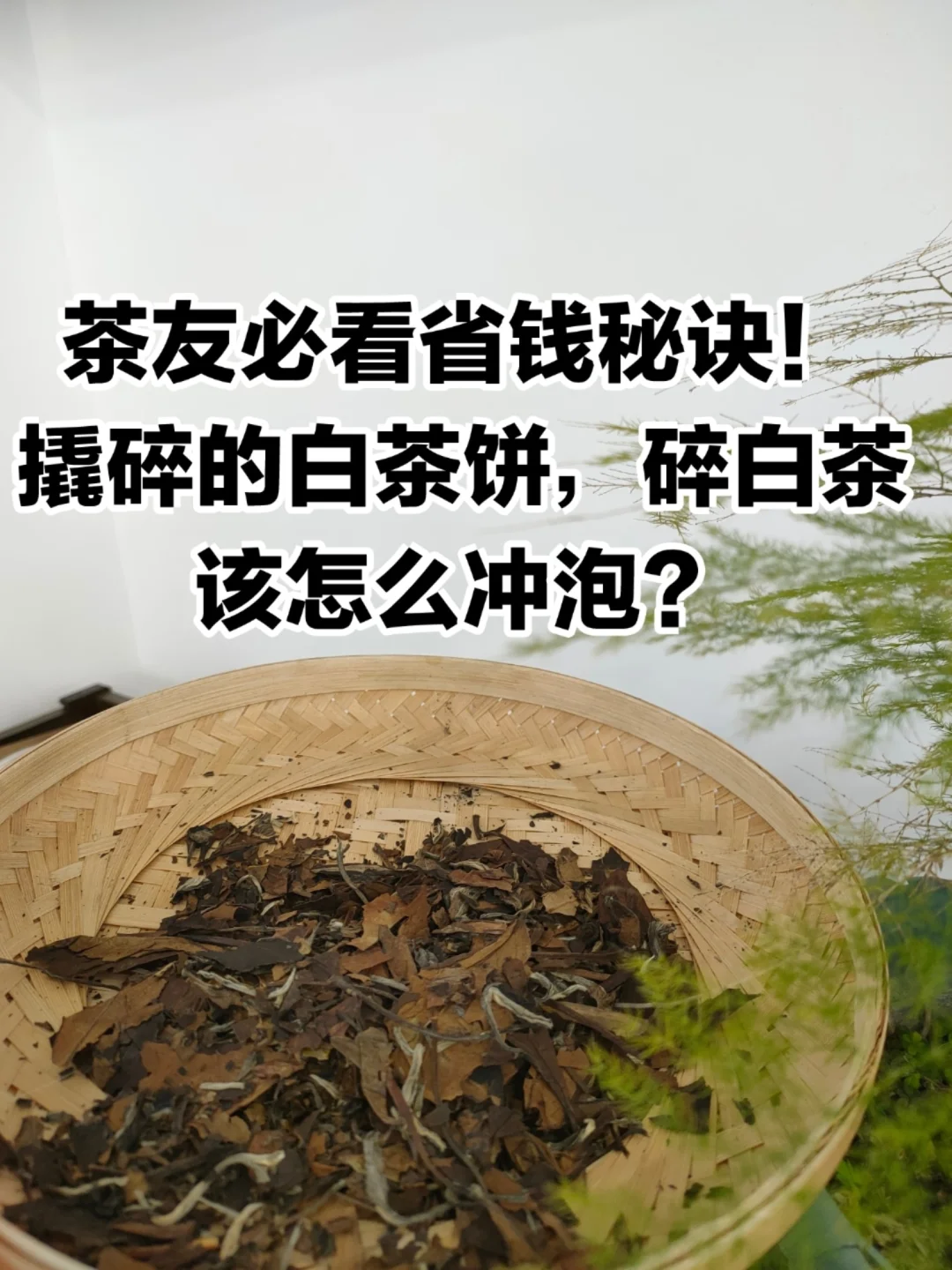 茶饼怎么冲泡 茶饼怎么冲泡视频