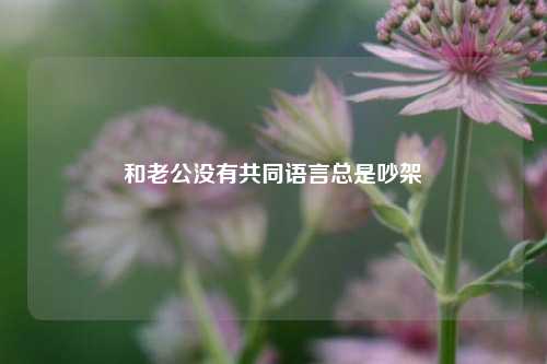 和老公没有共同语言总是吵架