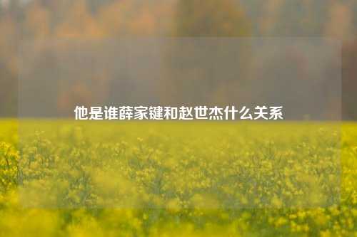 他是谁薛家键和赵世杰什么关系