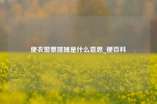 便衣警察摆摊是什么意思_梗百科