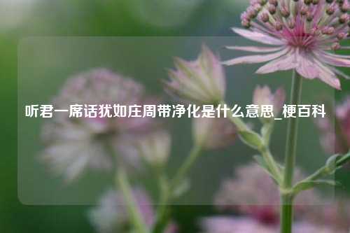 听君一席话犹如庄周带净化是什么意思_梗百科