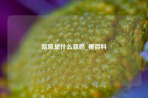 鼠鼠是什么意思_梗百科