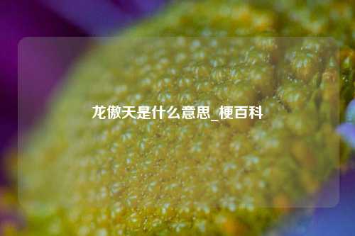 龙傲天是什么意思_梗百科