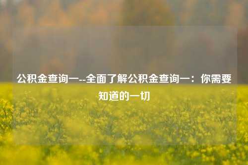 公积金查询一--全面了解公积金查询一：你需要知道的一切