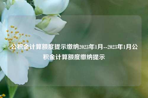 公积金计算额度提示缴纳2023年1月--2023年1月公积金计算额度缴纳提示