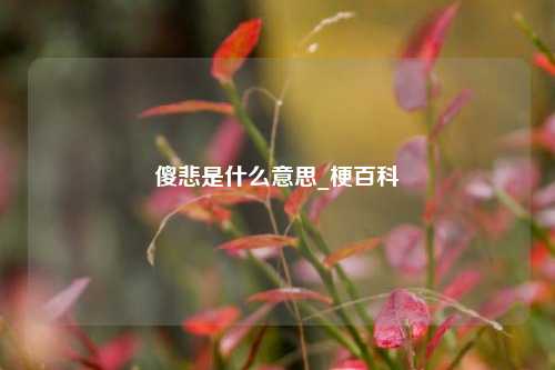 傻悲是什么意思_梗百科