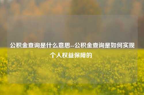 公积金查询是什么意思--公积金查询是如何实现个人权益保障的 