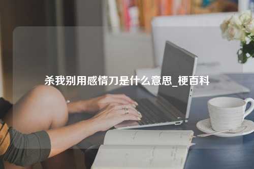 杀我别用感情刀是什么意思_梗百科