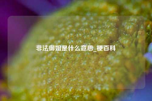 非法御姐是什么意思_梗百科