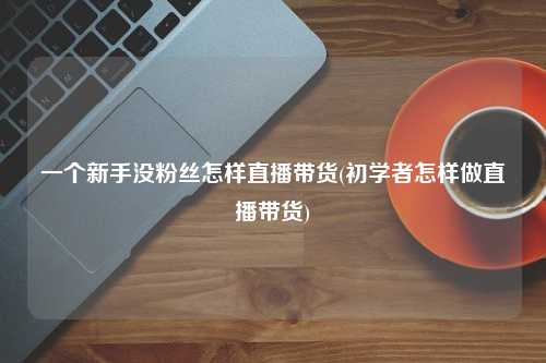 一个新手没粉丝怎样直播带货(初学者怎样做直播带货)