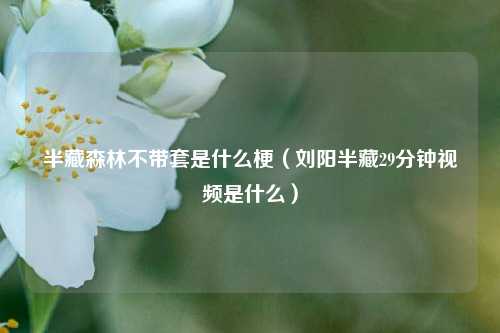 半藏森林不带套是什么梗（刘阳半藏29分钟视频是什么）