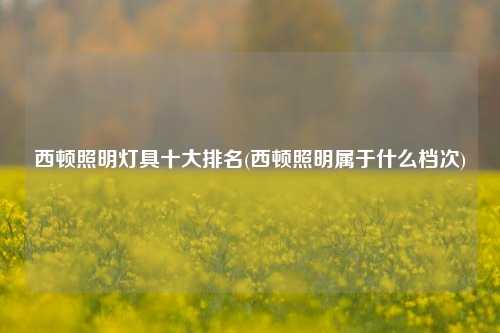 西顿照明灯具十大排名(西顿照明属于什么档次)